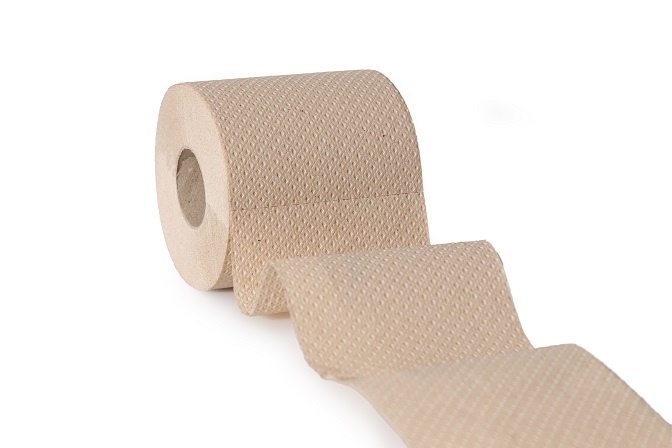 Green-Hygiene "Rolf", 48 Rollen Öko-Toilettenpapier – 100% Plastikfrei, 2-lagig, 300 Blatt